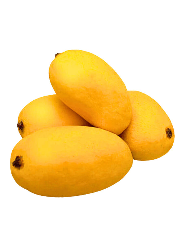 مانجو سندري ٥ كجم (باكستان)