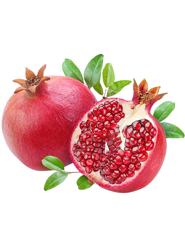 أنار الهند