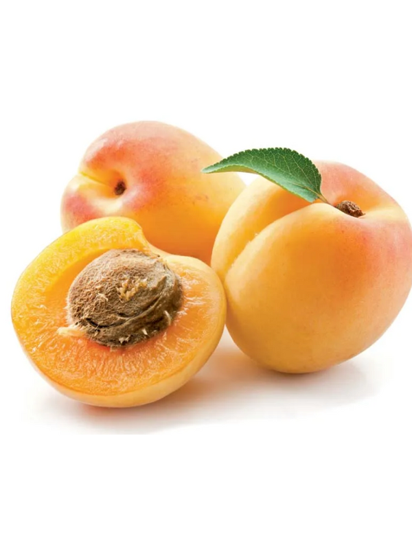 مشمش