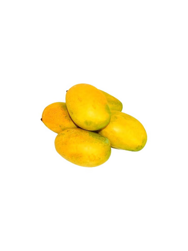 مانجو ماليكا (الهند)