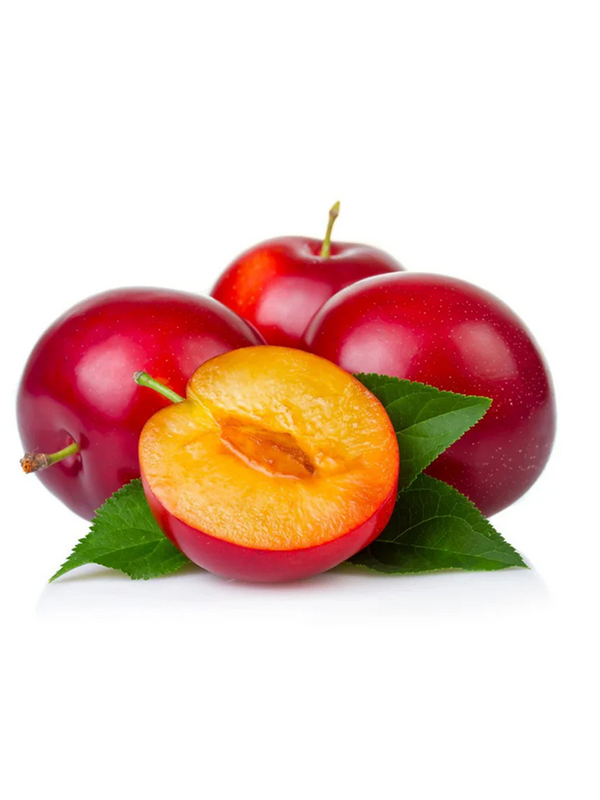 البرقوق الأحمر