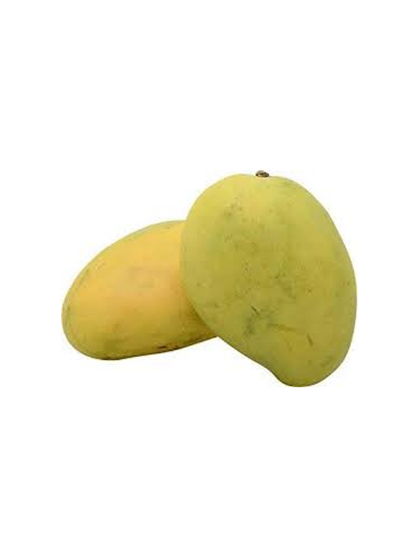 مانجو بريور (الهند)