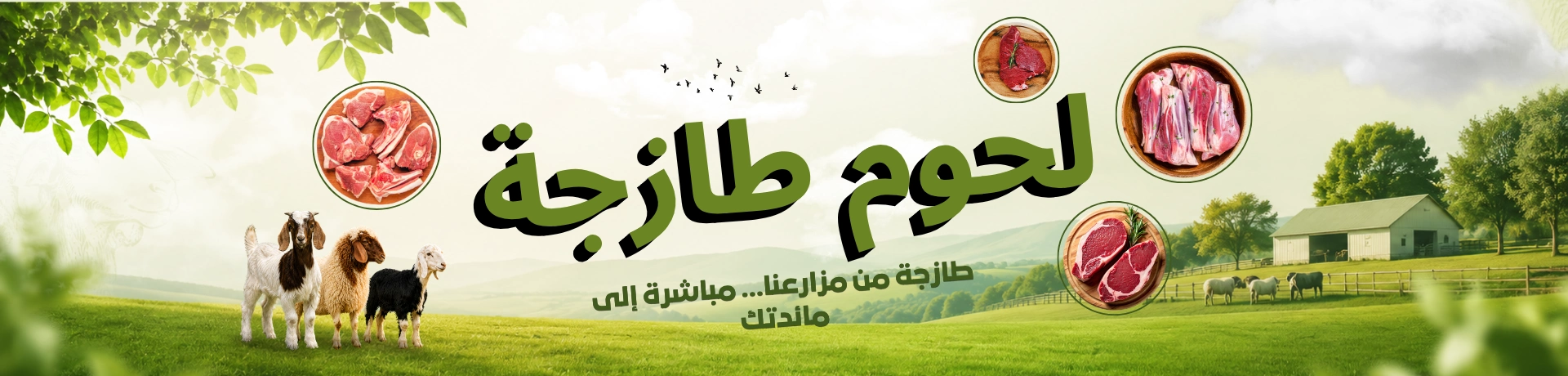 لحوم طازجة من مزرعة الخليج تشمل الأغنام والماعز الطازجة مع التوصيل في جميع أنحاء الإمارات.