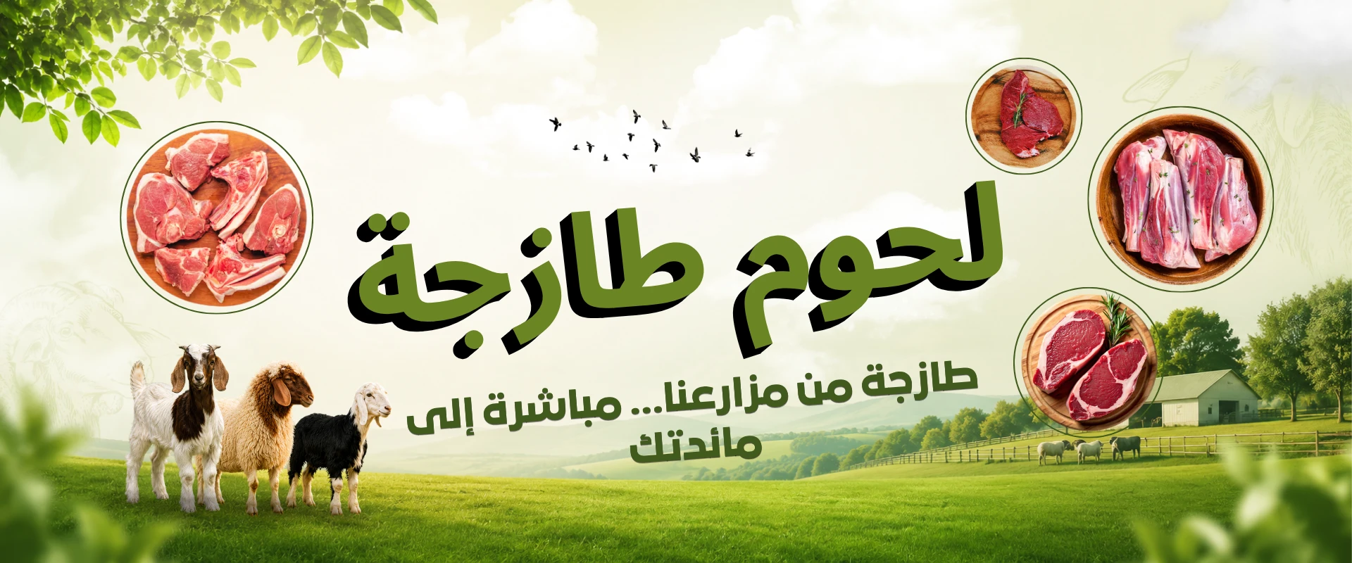لحوم طازجة من مزرعة الخليج تشمل الأغنام والماعز الطازجة مع التوصيل في جميع أنحاء الإمارات.