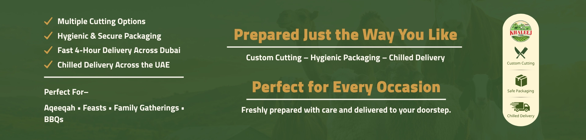 Premium sheep, goats and fresh meat from Al Khaleej Farm for Aqeeqah, family gatherings, BBQ and special occasions.