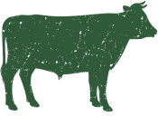 Cow 1
