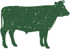 Cow category at Al Khaleej Farm