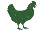 fresh poultry alkhaleej farm